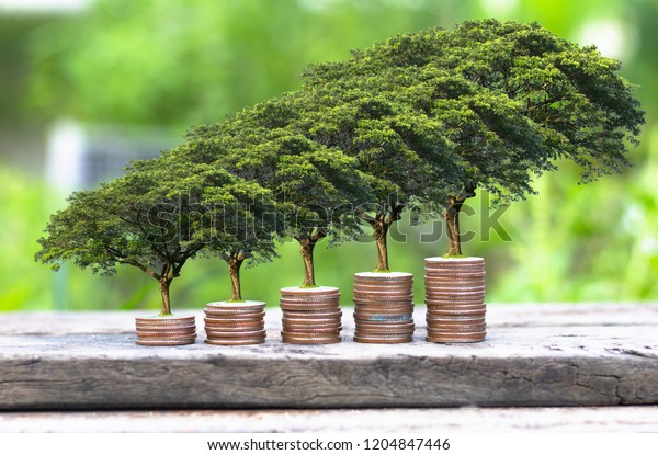 Finance Sustainable Development Economic Growth Plant Stock Photo (Edit  Now) 1204847446