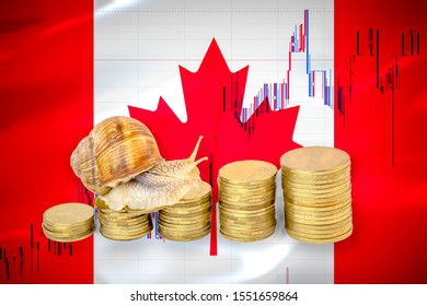 Financial Business Concept Of Snail Crawling On A Pile Of Coins In Front Of Stock Chart And A Flag Of Canada. Slow Economic Growth