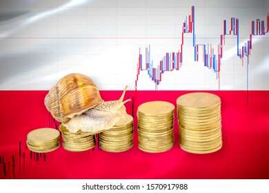 Financial Business Concept Of Snail Crawling On A Pile Of Coins In Front Of Stock Chart And A Flag Of Poland. Slow Economic Growth