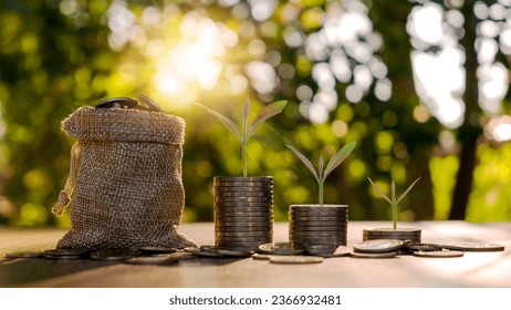 Financial and business growth with trees growing on coins. - Shutterstock ID 2366932481