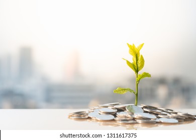 Financial Growth, Plant on pile coins with cityscape background 