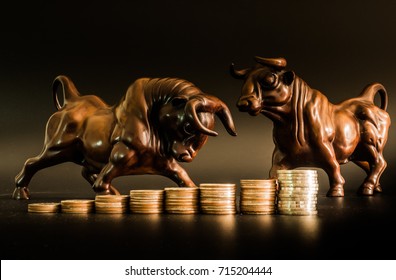 Financial Investment In Bull Market. How To Trade In Risk Valuation Situation. Money Was Allocate To Portfolio Efficiency. Investor Can Get More Capital Gain And Dividend   