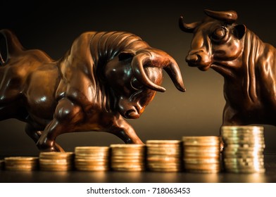 Financial Investment In Bull Market. How To Trade In Risk Valuation Situation. Money Was Allocate To Portfolio Efficiency. Investor Can Get More Capital Gain And Dividend    