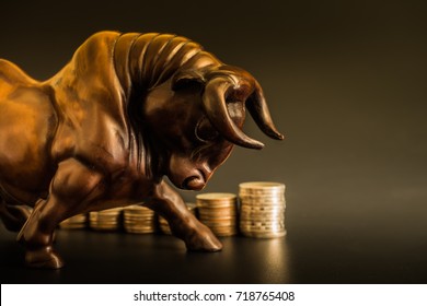 Financial Investment In Bull Market. How To Trade In Risk Valuation Situation. Money Was Allocate To Portfolio Efficiency. Investor Can Get More Capital Gain And Dividend     