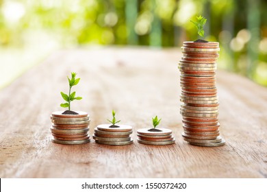 Plants On Money Increase Flare Light Stock Photo (Edit Now) 1905711997