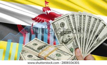 The financial relationship between the US dollar, the role of foreign currency, and Brunei's development. The image includes a hand holding a dollar bill, the Bruneian flag, and a growth chart.
