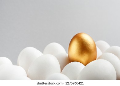 Financial Success Concept, Exclusivity, Better Choice. One Golden Egg Among White Eggs On Gray Background, Copy Space