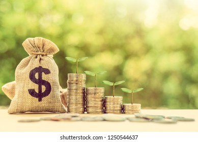 Financing sustainable growth, financial concept : Green sprout grow on coins, US dollar money bag on table, depicts passive income, wealth management from revenue growth, common stock dividend payout