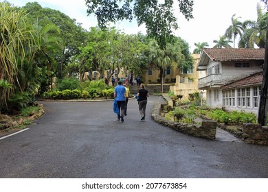 Finca Vigía, Ernest Hemingway's House In Havana Cuba