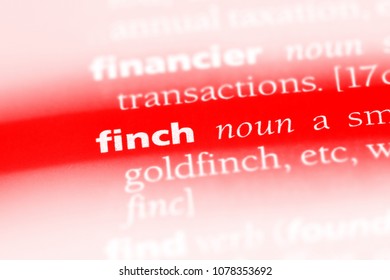 Finch Word In A Dictionary. Finch Concept