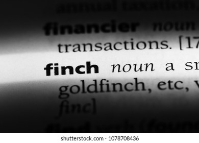 Finch Word In A Dictionary. Finch Concept