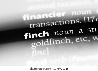 Finch Word In A Dictionary. Finch Concept