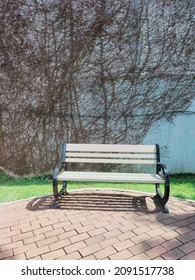 Find A Beautiful Wooden Chair At The Park