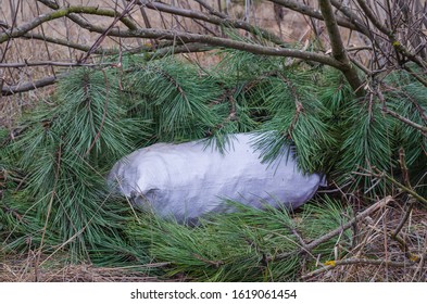 A Find During A Police Raid Along A Forest Road. Big White Sack Is Covered With Green Branches. Side View. Selective Focus.