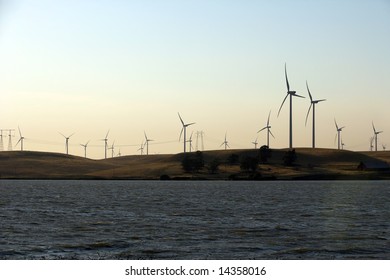 A Find Farm In The California Delta