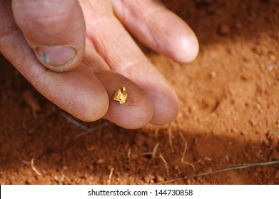 To find a gold nugget