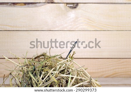 To find a needle. Close up of a needle in haystack. Macro studio shot