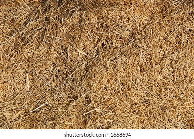 Find Needle Haystack Stock Photo 1668694 | Shutterstock