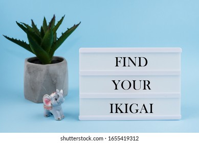 Find your ikigai. Light box, elephant souvenir and plant in concrete pot on blue background.