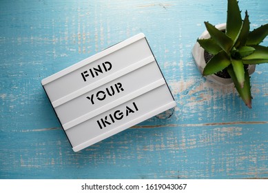 Find your ikigai. Text on lightbox on blue background