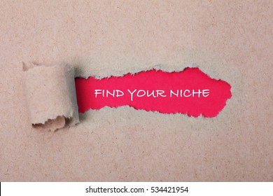 Find Your Niche, Business Concept