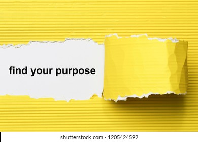 find your purpose text on paper. Word find your purpose on torn paper. Concept Image.