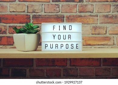 Find Your Purpose word in light box on brick wall and wooden shelves background