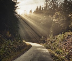 Find Your Way Road In The Forest With Rays Of Sunshine