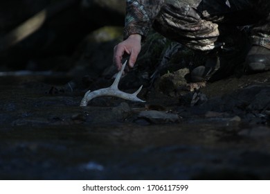 Finding A Deer Shed In The Woods, While Enjoying The Longer Days Of Sweet Spring.