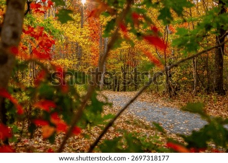 Finding fall foilage off the beaten path in October