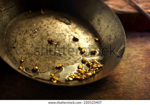 Finding\
gold. gold panning or digging. Gold on wash\
pan.