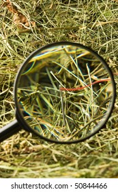 Finding the needle with magnifying glass in the haystack