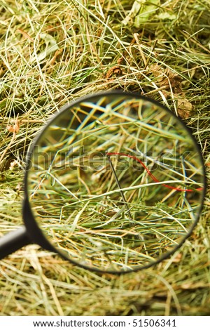 Finding the needle with magnifying glass in the haystack