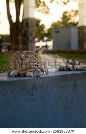 Image, Stock Photo Let the eye wander 5