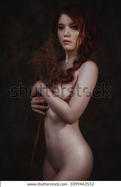 Vintage Retro Naked Chick - Fine Art Portrait Naked Redhead Woman Stock Photo (Edit Now ...