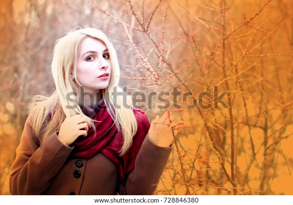 Fine Blonde Long Hair Lilac Coat Stock Photo Edit Now 728846380