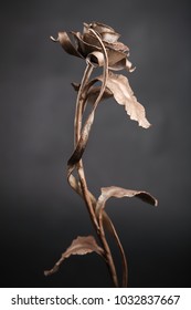 The Fine Bronze Rose Made By A Forging Method Of Metal With A Red Blossom And A Stalk.