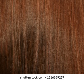 Fine brown hair. Textures, background