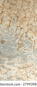 Fine Crazing Crack Pattern on Aged Beige Concrete Surface Texture

Close up of a dense network of fine hairline cracks known as crazing or map cracking on an aged beige and grey concrete or cement surface. The intricate pattern of shallow cracks creates an abstract grunge texture. Damaged construction material background for aging and deterioration concepts.