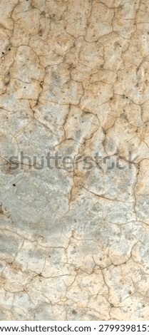 Fine Crazing Crack Pattern on Aged Beige Concrete Surface Texture

Close up of a dense network of fine hairline cracks known as crazing or map cracking on an aged beige and grey concrete or cement surface. The intricate pattern of shallow cracks creates an abstract grunge texture. Damaged construction material background for aging and deterioration concepts.