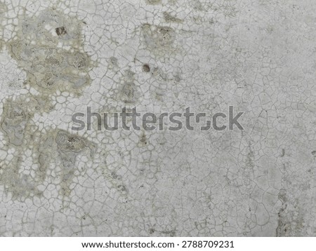 Fine crazing cracks network on gray concrete surface. Weathered cement wall texture background.