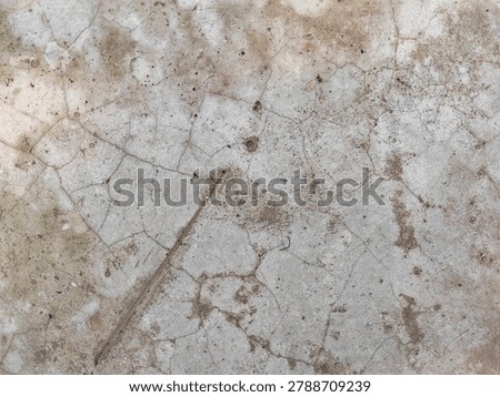 Fine crazing cracks network on gray concrete surface. Weathered cement wall texture background.