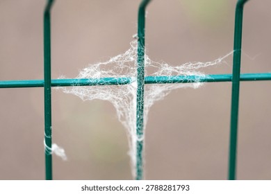 Fine, delicate web strung between green metal bars. Soft, natural threads catch morning light gently. Background blurred, emphasizing web's intricate structure. Ideal for nature, gardening