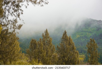 A Fine Mist Descends On The Green Hills Of The Highlands