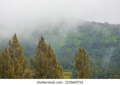 A Fine Mist Descends On The Green Hills Of The Highlands