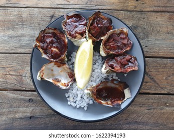 Fine Oysters From Glenelg Oyster Bar South Australia 