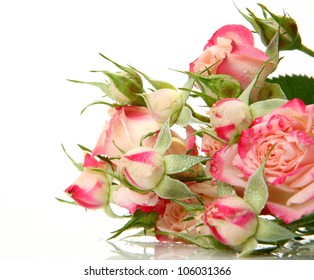 Fine Roses Stock Photo 106031366 | Shutterstock