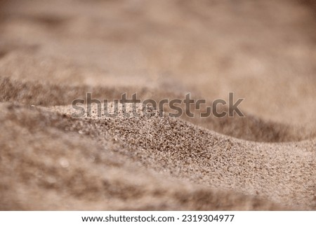 Similar – Image, Stock Photo close up of shadows of branches and leaves on a yellow cloth wrapped around a banyan tree