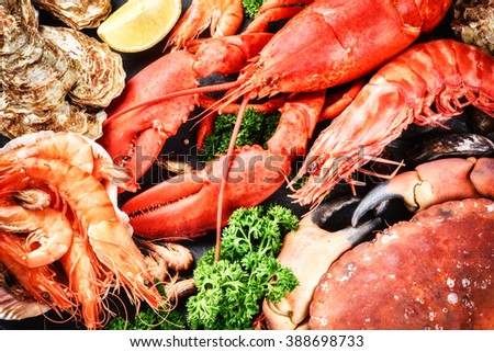 Fine selection of crustacean for dinner. Lobster, crab and jumbo shrimps and oysters on dark background