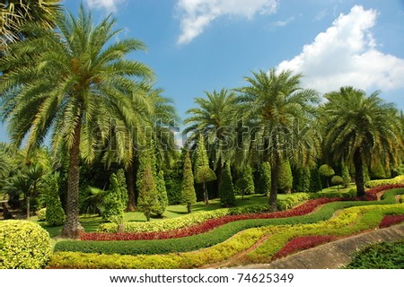 Fine Tropical Garden Palm Trees Flowers Stock Photo (Edit Now) 74625349